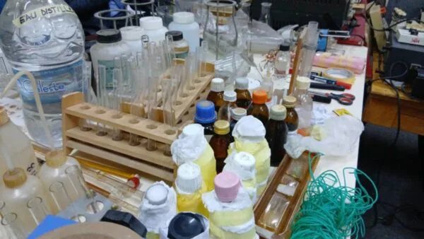 Le MENAET renforce les compétences des enseignants contractuels en mathématiques et physique-chimie